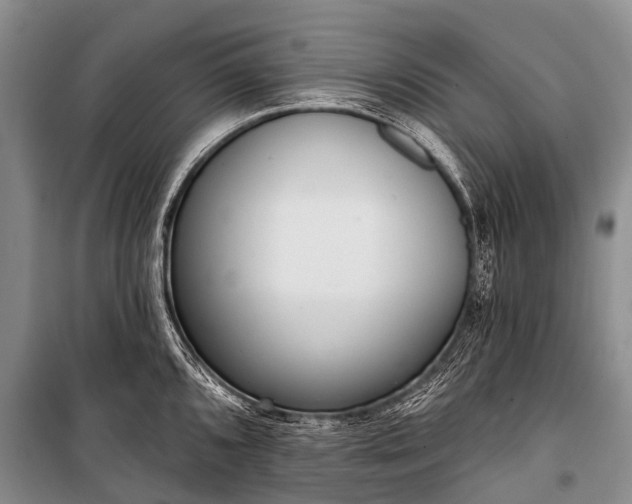 X0000100961096200807011326