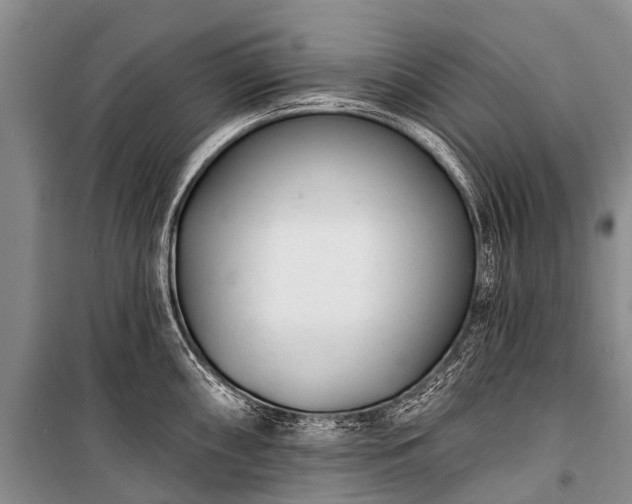X0000100961098200807011326