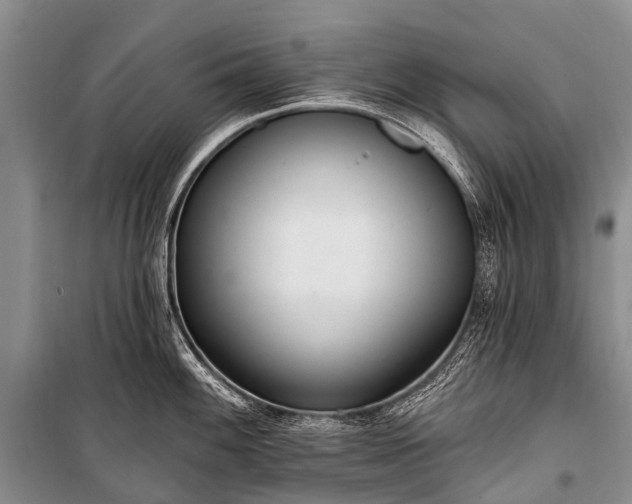 X0000100961100200807011326