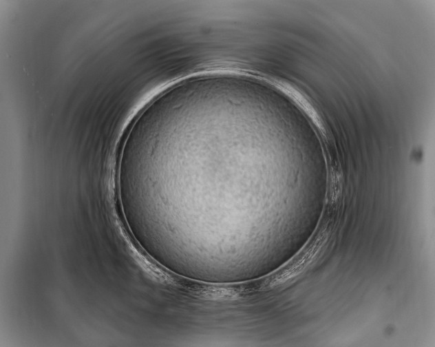 X0000100961101200807011326