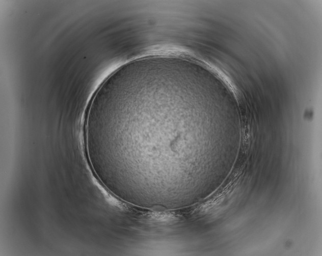 X0000100961103200807011326