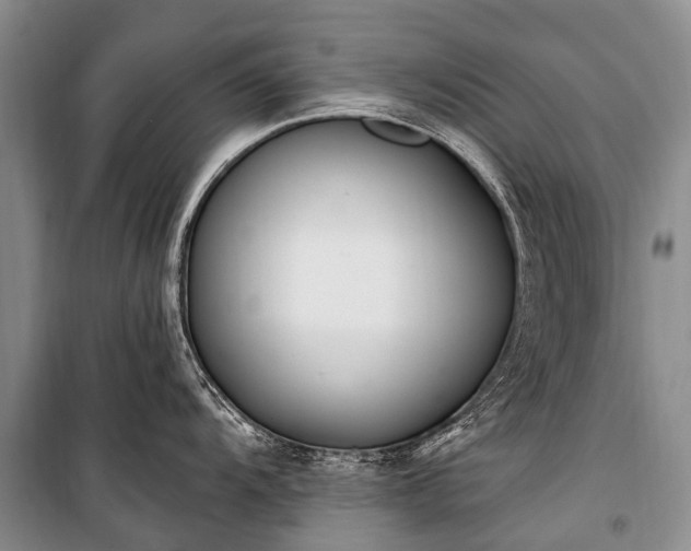 X0000100961104200807011326