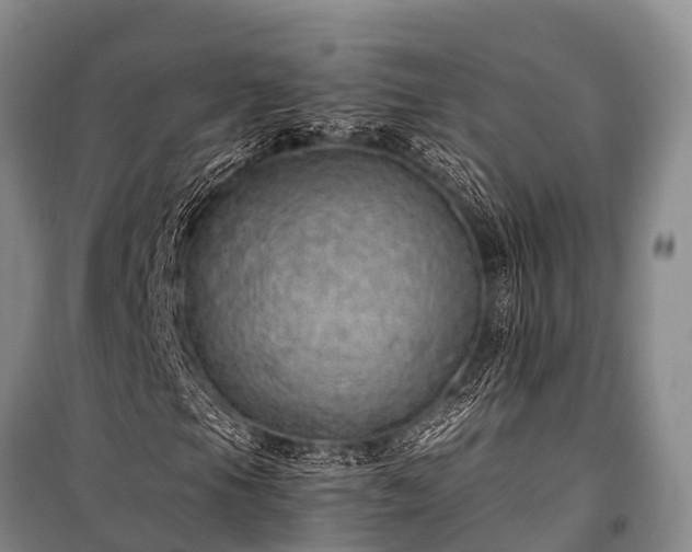 X0000100961105200807011325