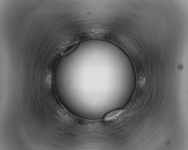 X0000100961108200807011325