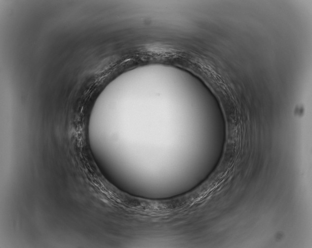 X0000100961109200807011325