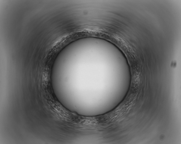 X0000100961110200807011325