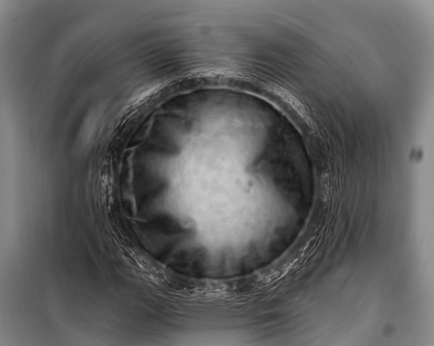 X0000100961111200807011325