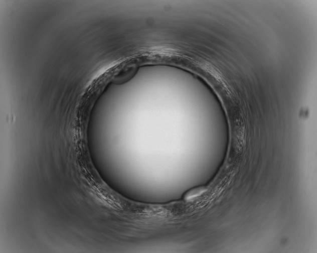 X0000100961112200807011326