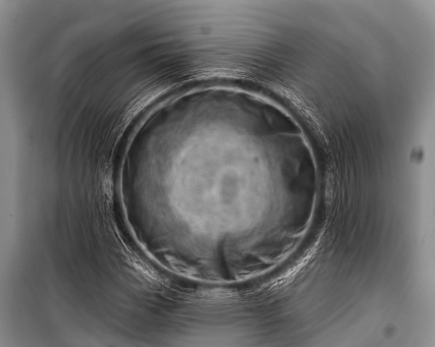 X0000100961113200807011326