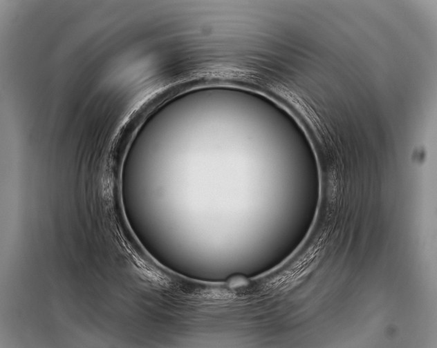 X0000100961115200807011326