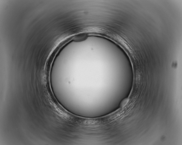 X0000100961116200807011326