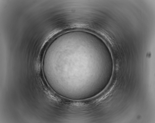 X0000100961117200807011326