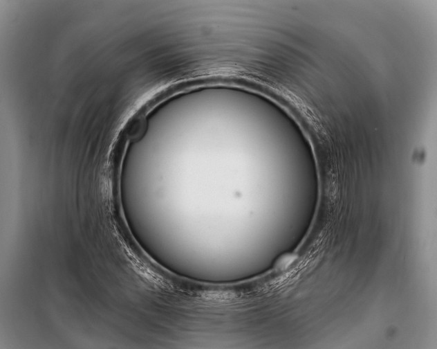 X0000100961118200807011326