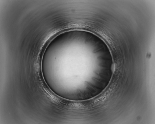 X0000100961119200807011326