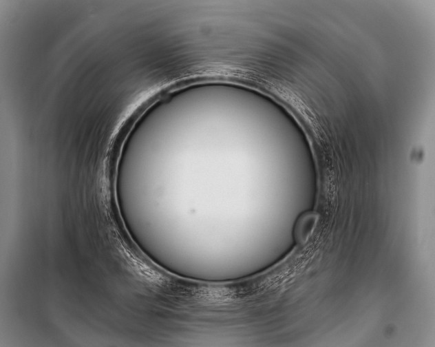 X0000100961120200807011326