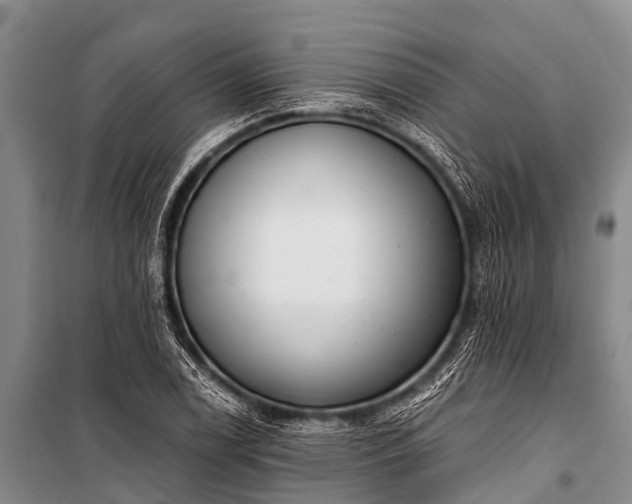 X0000100961122200807011326