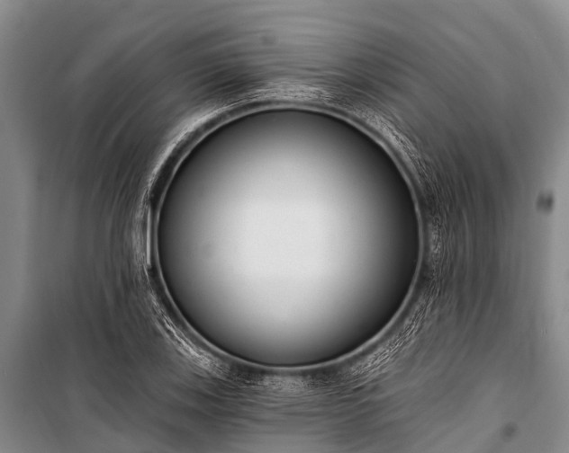 X0000100961123200807011326