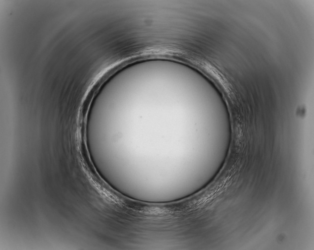 X0000100961124200807011326
