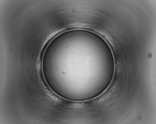 X0000100961125200807011326