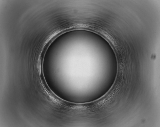 X0000100961127200807011326