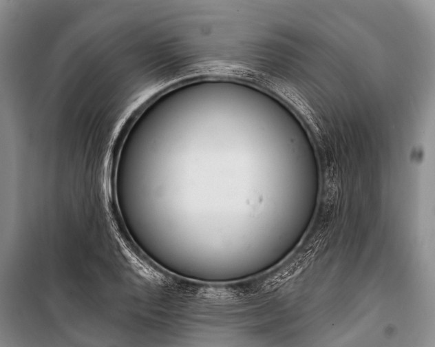 X0000100961128200807011326