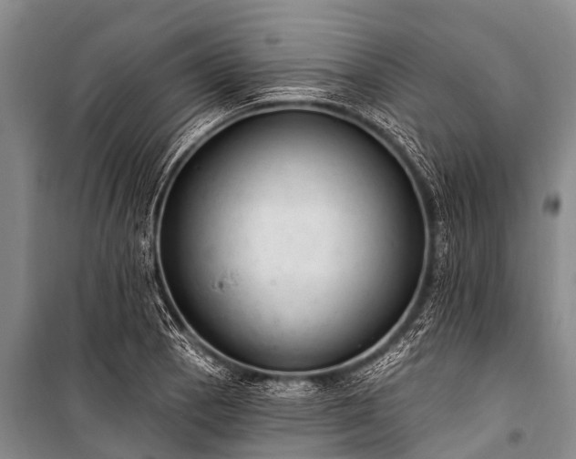 X0000100961129200807011326