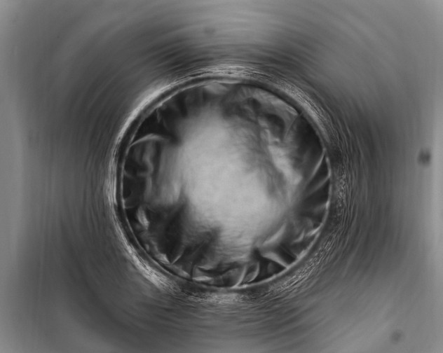 X0000100961131200807011326