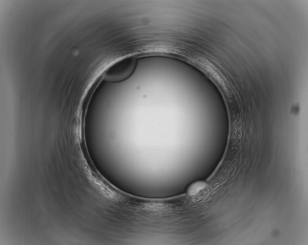 X0000100961132200807011326