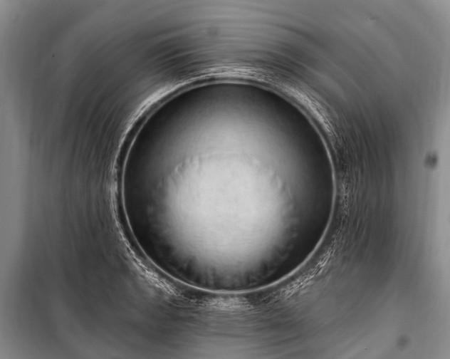 X0000100961133200807011326