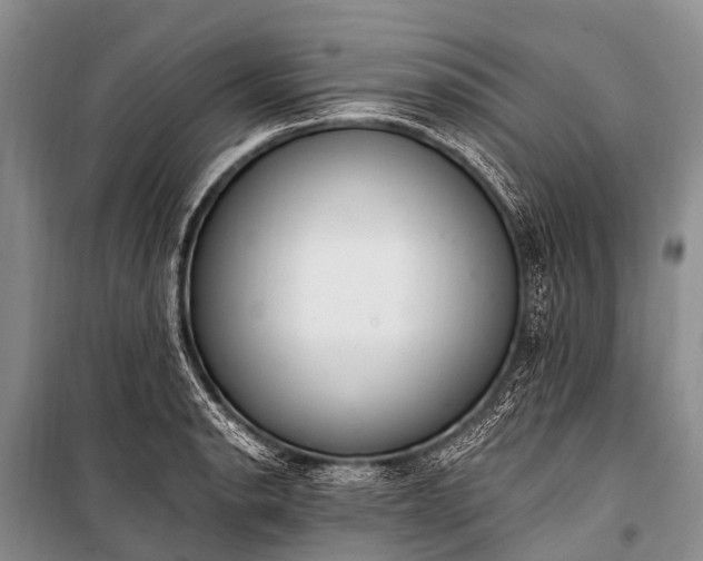 X0000100961134200807011326