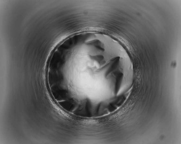 X0000100961135200807011326