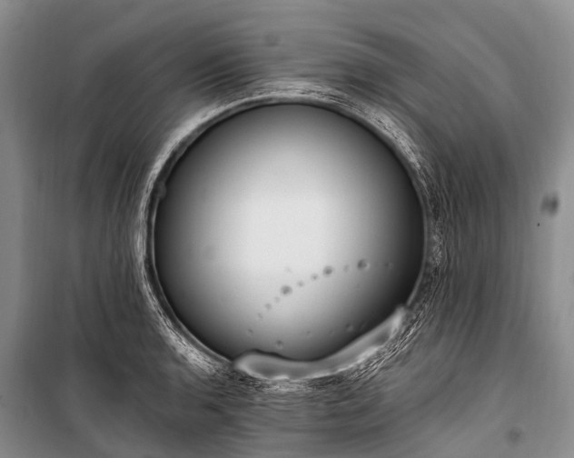 X0000100961136200807011326