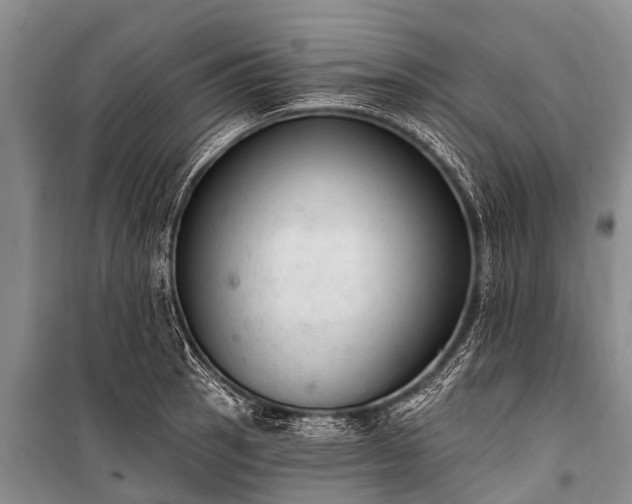 X0000100961137200807011326