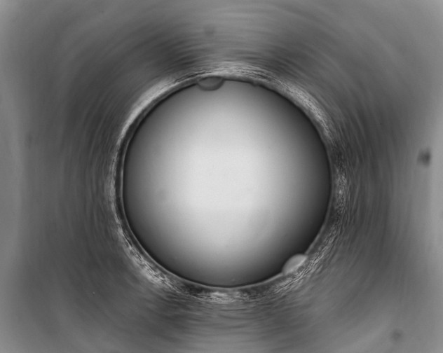 X0000100961138200807011326