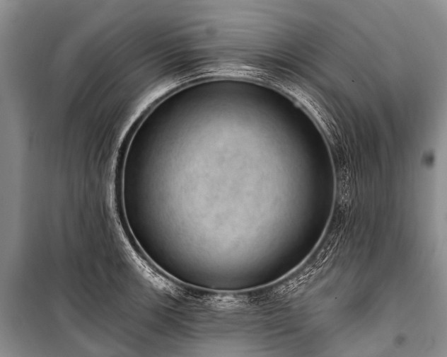 X0000100961139200807011326