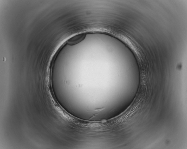 X0000100961140200807011326