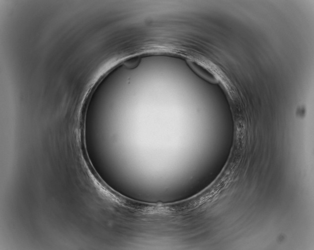 X0000100961143200807011326