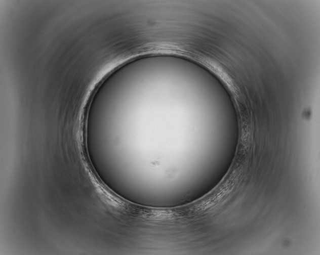 X0000100961144200807011326