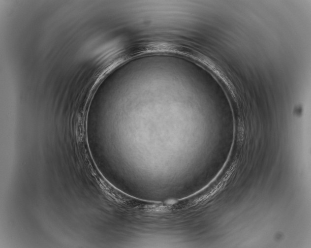 X0000100961145200807011326