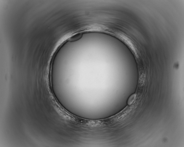 X0000100961146200807011326