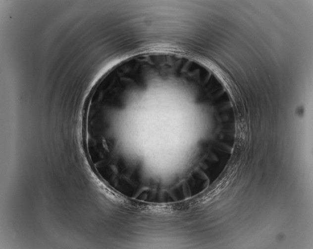 X0000100961147200807011326