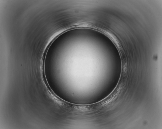 X0000100961149200807011326