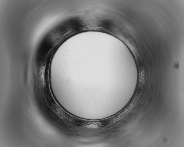 X0000100961150200807011326