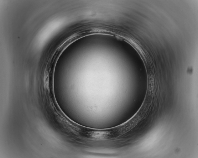 X0000100961151200807011326