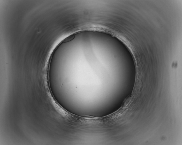 X0000100961152200807011326