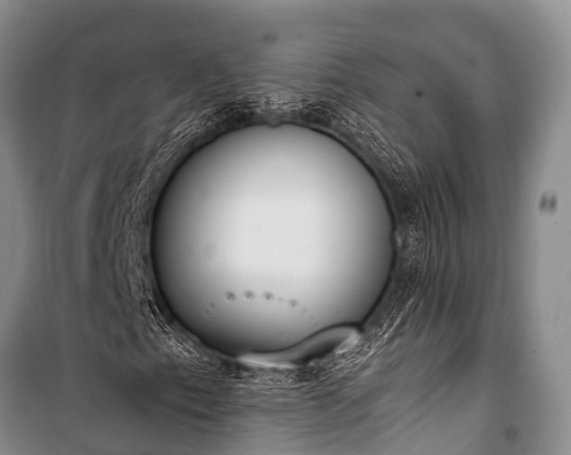 X0000100961153200807011325