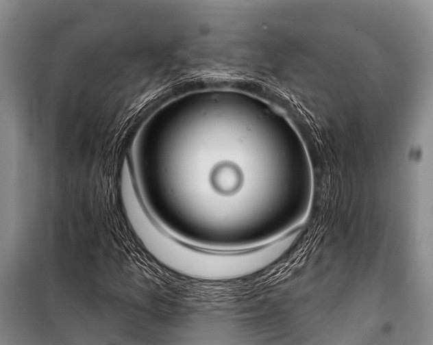 X0000100961157200807011325