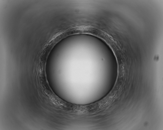 X0000100961158200807011325