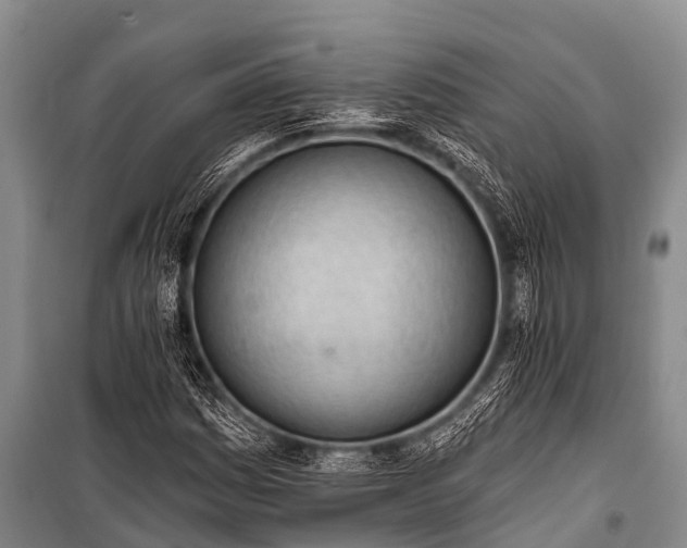 X0000100961161200807011325