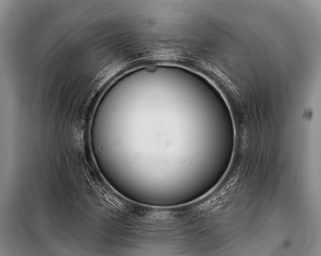 X0000100961162200807011325